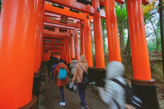 Kyoto, Japan - December 17, 2019 : Beautiful scene in Fushimi Inari Taisha shrine in Fushimi-ku, Kyoto, Japan.