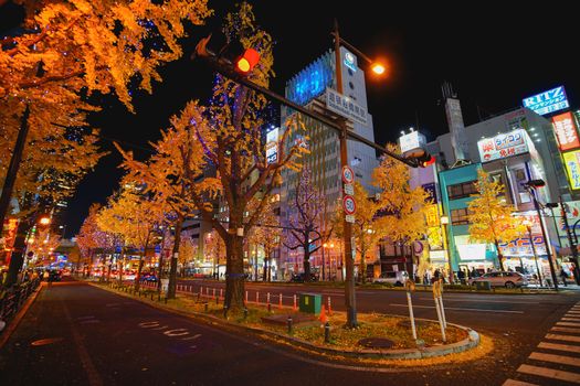 Osaka, Japan - December 16, 2019 : Night scene with beautiful yellow leaves of Ginkgo in Namba district, Osaka city, Japan.