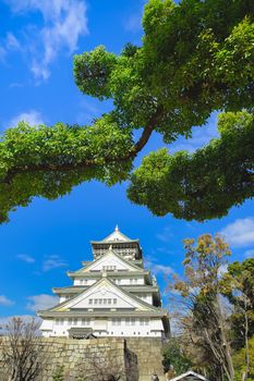 Beautiful scene in the park of Osaka Castle, Osaka City, Japan.