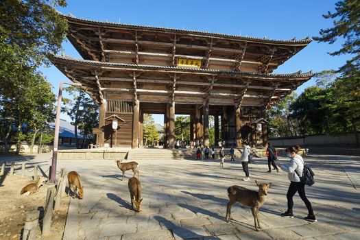 Nara, Japan - December 16, 2019 : The great Wooden gate Of Todaiji Temple, this is the most famous travel destinations of Nara city in Kansai area of Japan and this place has a lot of deers in the park.