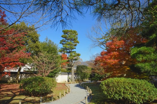 Beautiful Japanese garden in Byodoin Temple, Uji city, Kyoto, Japan.