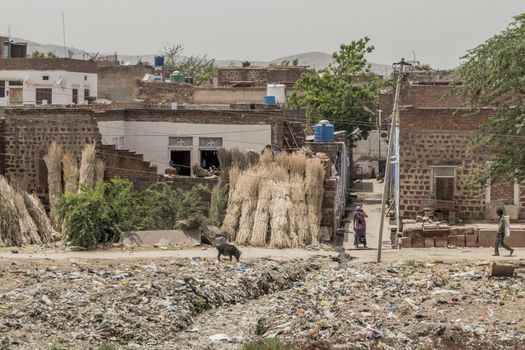 Many garbage, poverty and heat in Rajasthan India.