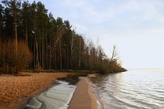 The coastal line of the reservoir next to the forest