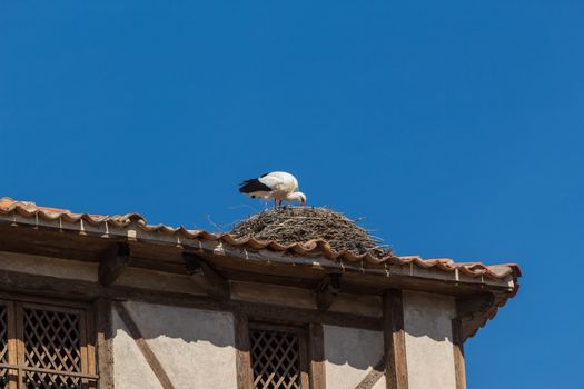 Stork on a church. El Espinar, Segovia, Spain