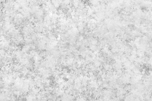 Black and white background. Snow texture background.