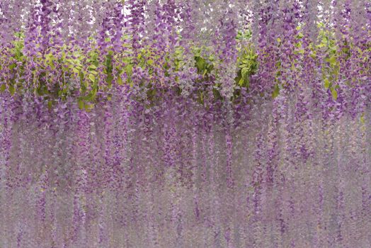 Purple background of flowers. Violet background. Purple flowers.
