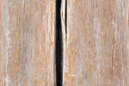 Background of old boards. Wood texture with natural patterns