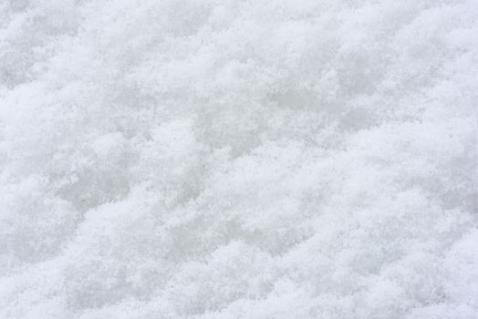 Snow background. Background of fresh snow texture