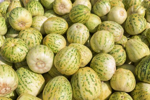 Bunch of small melons. Group of fresh ripe yellow sweet melons