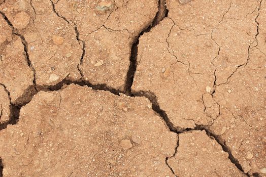 Dry land with cracks. Cracked earth in dry desert