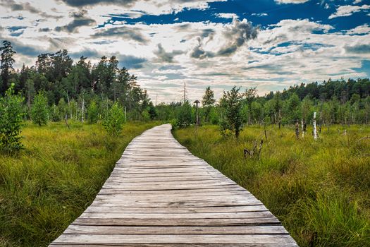 Hiking Trail, Educational Trail, Walking Trail Kaunas Lithuania