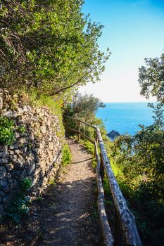 cinque terre monterosso way of love