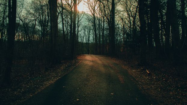 A Blacktop Path in a Dead Winter Forest With a Bright Orange Sunset Behind It