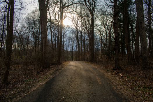 A Blacktop Path in a Dead Winter Forest With a Bright Orange Sunset Behind It