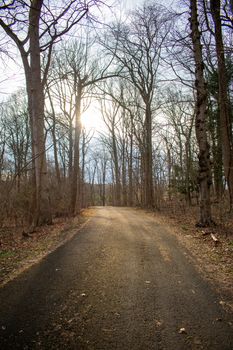 A Blacktop Path in a Dead Winter Forest With a Bright Orange Sunset Behind It