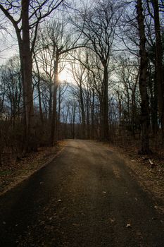 A Blacktop Path in a Dead Winter Forest With a Bright Orange Sunset Behind It