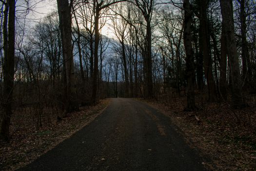 A Blacktop Path in a Dead Winter Forest With a Bright Orange Sunset Behind It