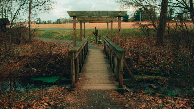 An Old Wooden Bridge Crossing a Small Creek in an Autumn Forest