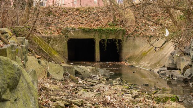 A Dark and Spooky TUnnel in a Shallow Creek in an Autumn Forest