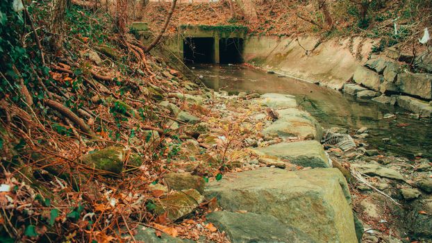 A Dark and Spooky TUnnel in a Shallow Creek in an Autumn Forest