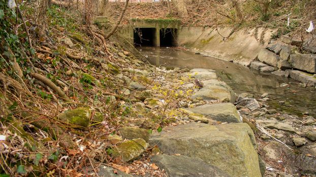 A Dark and Spooky TUnnel in a Shallow Creek in an Autumn Forest