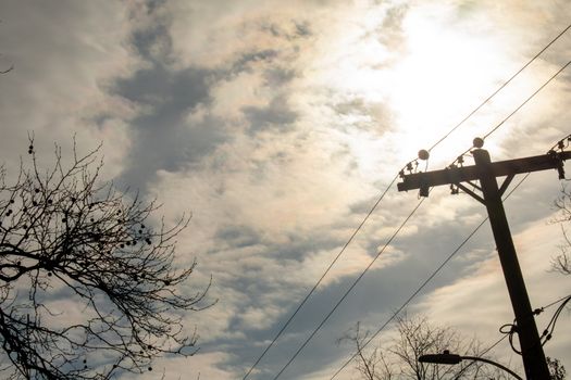 Silhouette Telephone Wires and Trees With the Sun Behind a Cloudy Sky in the Background