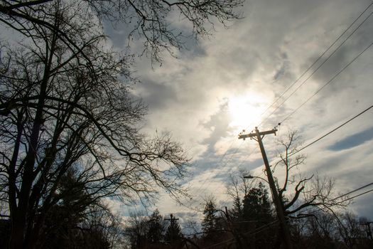 Silhouette Telephone Wires and Trees With the Sun Behind a Cloudy Sky in the Background