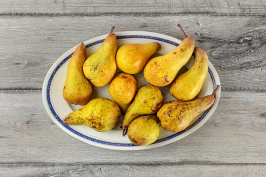 Table top view, green and yellow pears on oval plate with blue rim on gray wood desk