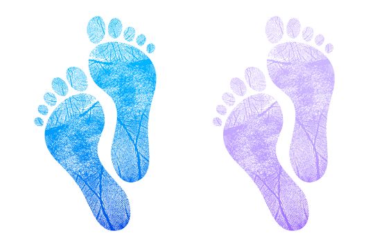 Baby footprint blue, pink illustration design on white