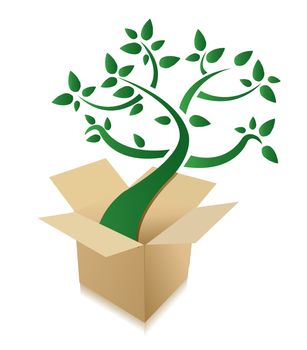 abstract green tree growing out of cardboard box on white background