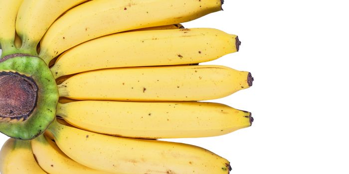 Bananas isolated on the white background.