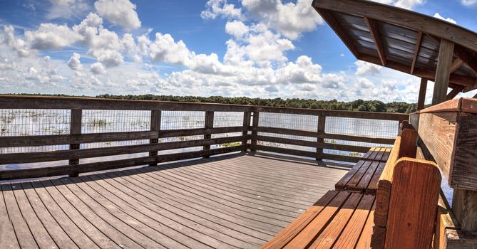 Boardwalk with benches overlooking the flooded swamp of Myakka River State Park in Sarasota, Florida.