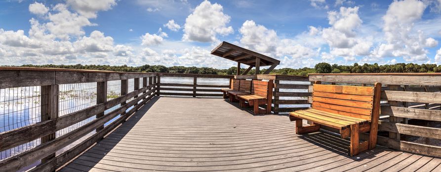 Boardwalk with benches overlooking the flooded swamp of Myakka River State Park in Sarasota, Florida.