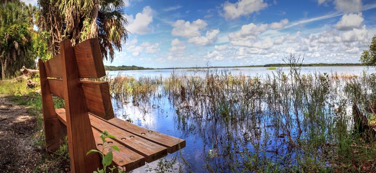 Bench overlooks the flooded swamp of Myakka River State Park in Sarasota, Florida.