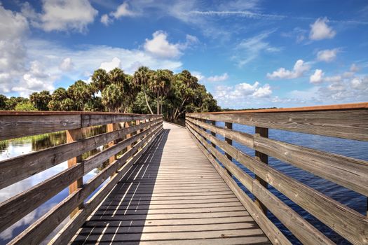 Boardwalk overlooking the flooded swamp of Myakka River State Park in Sarasota, Florida.