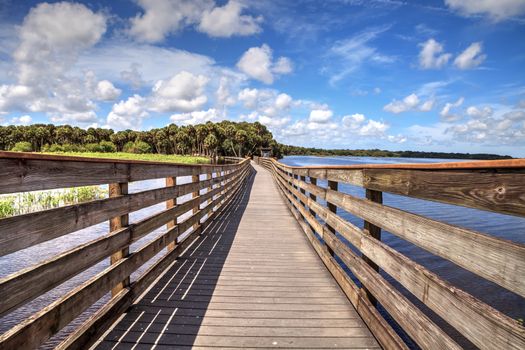 Boardwalk overlooking the flooded swamp of Myakka River State Park in Sarasota, Florida.