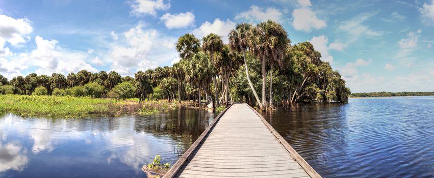 Boardwalk overlooking the flooded swamp of Myakka River State Park in Sarasota, Florida.