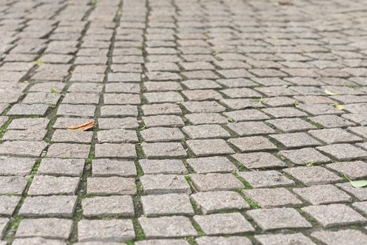 Gray paving stones in the park. Walkway of old paving stones