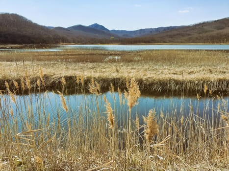 lake and grass in autumn. Beautiful autumn landscape