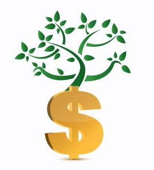 dollar sign and green plant isolated on white