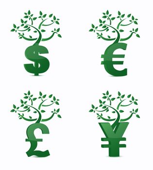 Money tree or investment growth concept.