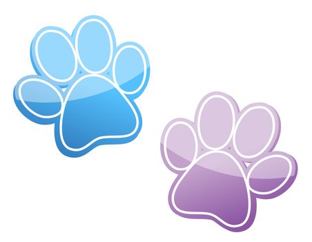 paw