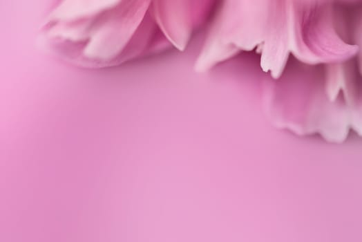 Pink petals with blurred focus. Pink background. Valentines day background