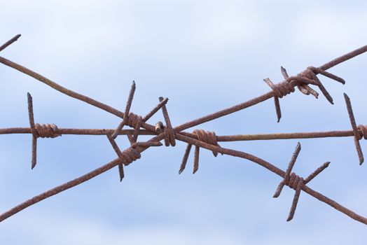 Rusty barbed wire on sky background. Barbed wire close-up