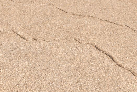 Sand texture. Sand on the beach. Sandy beach for background. Top view