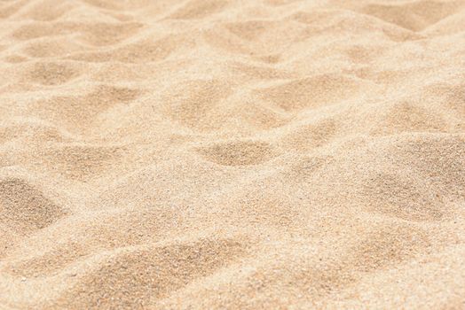 Sand texture. Sand on the beach. Sandy beach for background. Top view