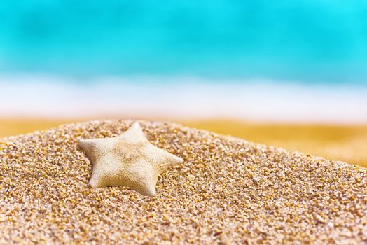 Starfish on beach. Sea sand and blue sea. Sea sand background