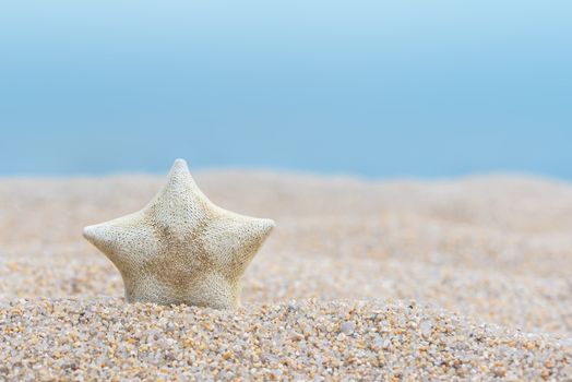 Starfish on beach. Sea sand and blue sea. Sea sand background