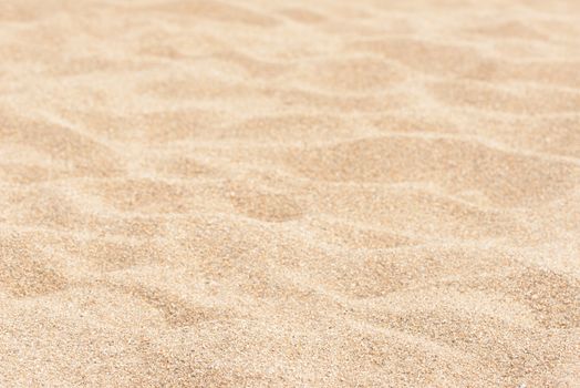 Sand texture. Sand on the beach. Sandy beach for background. Top view