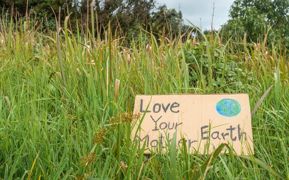 The nature conservation sign on nature background. The concept of World Environment Day. Zero waste.